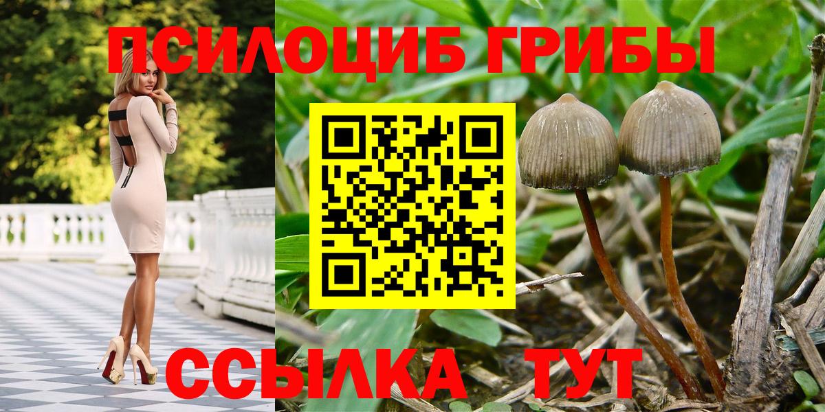 Галлюциногенные грибы GOLDEN TEACHER Канаш