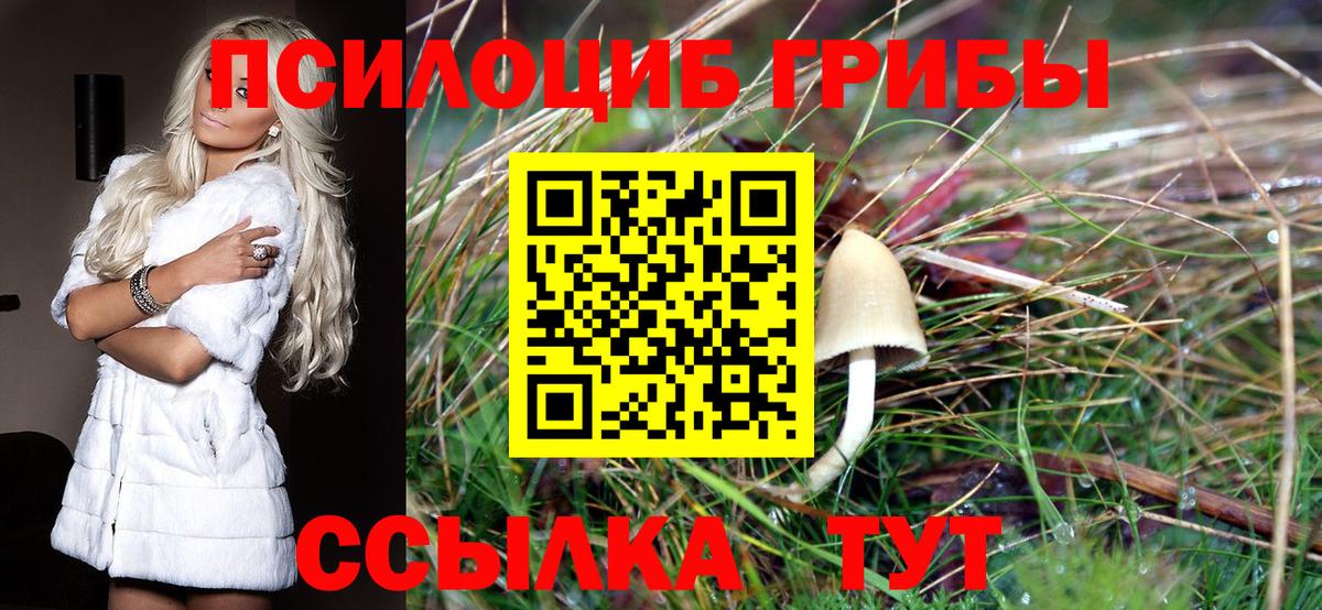 Галлюциногенные грибы GOLDEN TEACHER  Псилоцибиновые грибы мухоморы  закладка  Канаш  Вход с VPN 